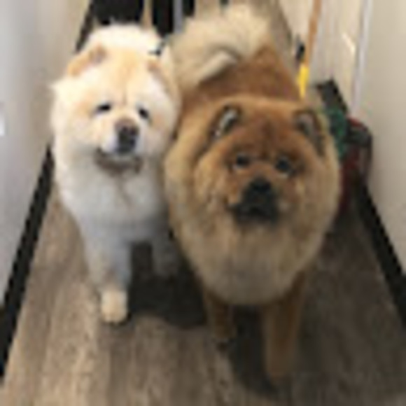 Meet your Posher, Miss - Picture 1 of 1